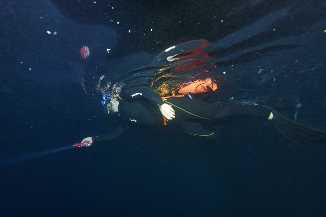 Night Snorkeling - Gear, wetsuits, and the basic snorkeling requirement