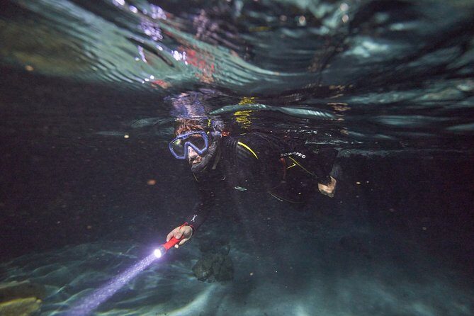 Night Snorkeling - Moorea Dark Waters: what your $120 really covers