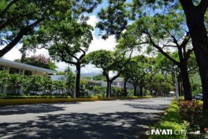 Papeete Walking Tour - Tahiti - Meeting at Fare Manihini and how to plan your timing