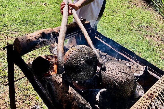 Polynesian culinary experience - Farm-to-plate gardens: how local products shape taste