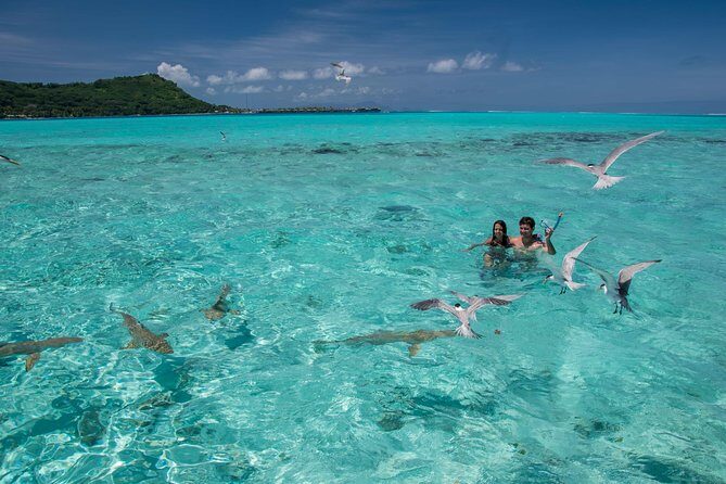 Private Boat Rental on Cap Camarat 17ft - Who This Private Bora Bora Boat Rental Suits (and Who Might Not)