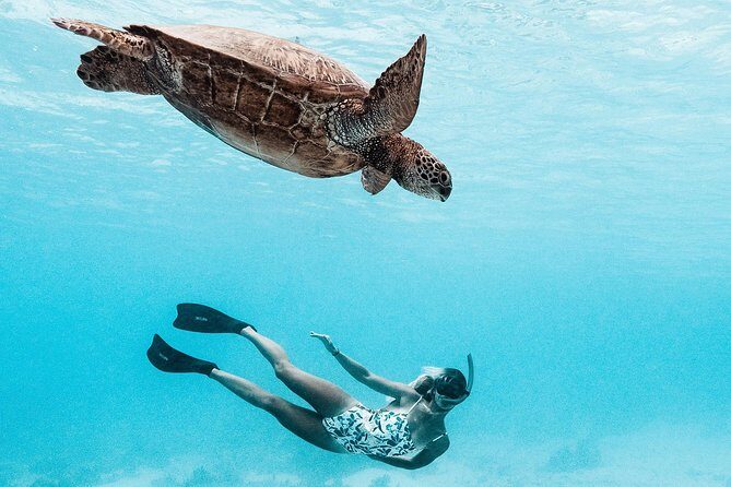 Private Boat Tour of Moorea Lagoon - 3 hours, early or late morning: the sweet spot for lagoon time