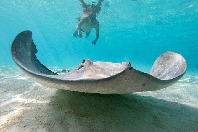 Private Boat Tour of Moorea Lagoon - What happens on the boat: the rhythm of stops and downtime