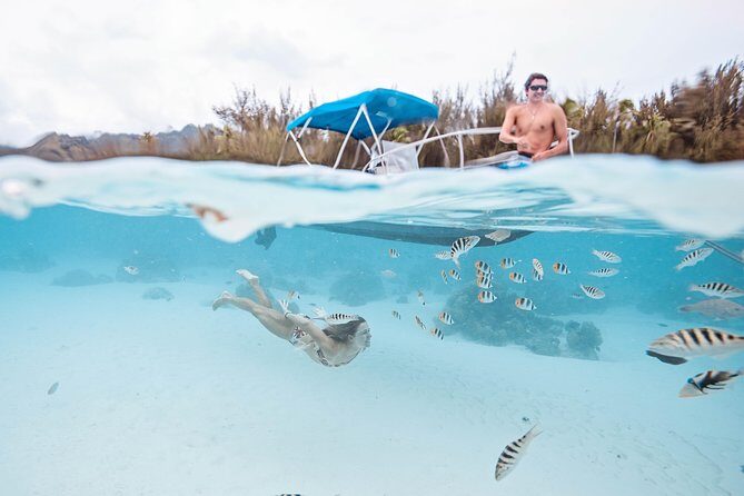Private Boat Tour of Moorea Lagoon - Reef time and wildlife etiquette: how to get better sightings