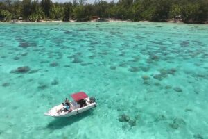 Private Bora Bora Lagoon Experience - Coral gardens and snorkeling equipment: what’s included (and what it means)