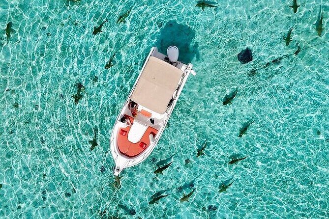 Private Bora Bora Lagoon Experience - Weather and when to expect itinerary changes