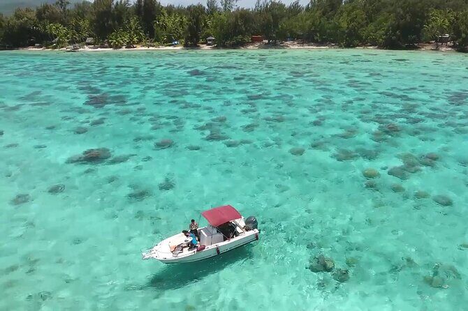 Private Bora Bora Lagoon & Water Lunch Experience - A private Bora Bora lagoon cruise that actually feels private
