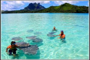 Private Bora Bora Lagoon & Water Lunch Experience - How the 4-hour Bora Bora plan flows on the water