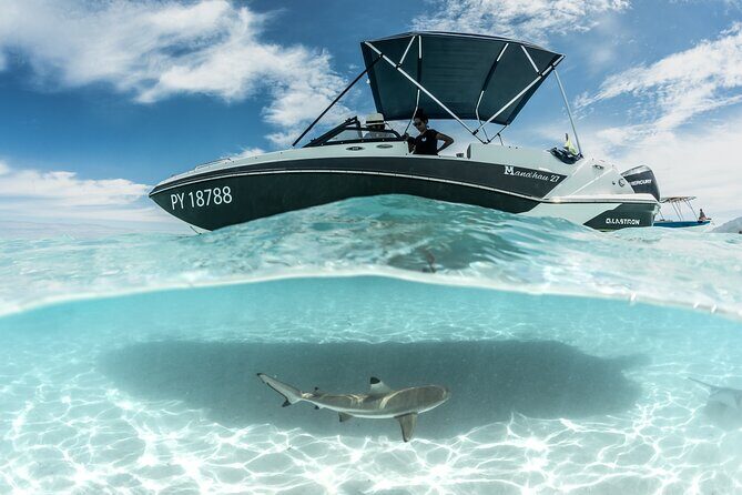 Private Day Trip Hike and Boat in Moorea - The marine biologist cruise: rays, turtles, dolphins, and whales in season