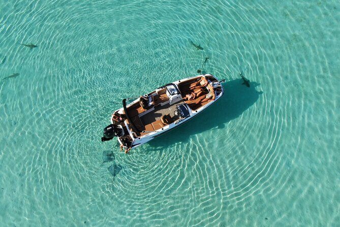 Private Day Trip Hike and Boat in Moorea - Private guidance with real names: Fabian, Nicky, and more