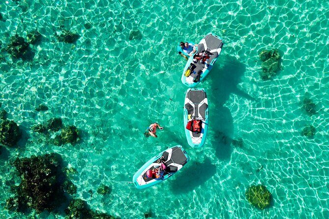 Private Excursion with E-Board in Moorea with snorkeling - The Coral Garden Snorkel Break: What to Expect Underwater