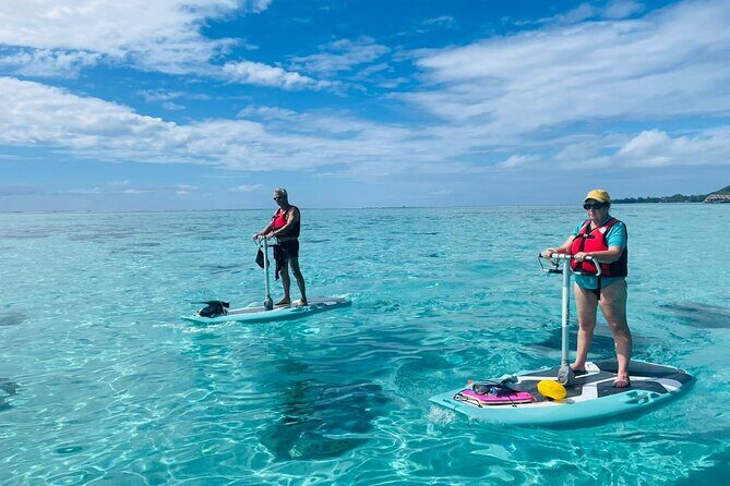 Private Excursion with E-Board in Moorea with snorkeling - Cruising Near Maharepa and Moorea Lagoon: Where the E-Board Shines