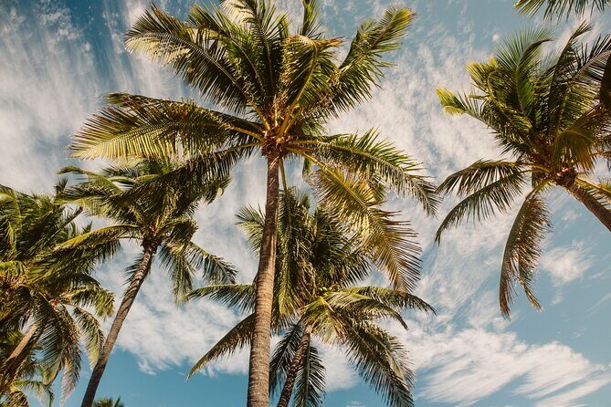 Private Full-Day Lagoon Adventure in Bora Bora with BBQ Lunch - Lunch on a Motu Around 12:30: The BBQ That Makes the Day Worth It