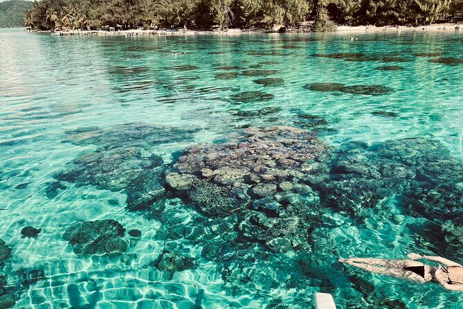 Private Full Day Lagoon Safari and Lunch on a Motu in Bora Bora - Lunch on a motu: the calm pause that makes the day feel complete