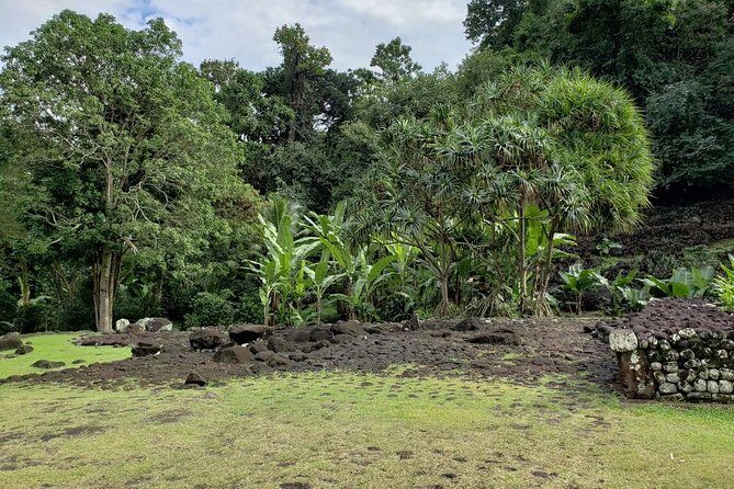 Private Full-Day Tahiti — Grotto, Gardens & Panoramas - A full-day “highlights loop” without the stress