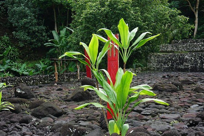 Private Full-Day Tahiti — Grotto, Gardens & Panoramas - Maraa Grotto: volcanic caves and a cool reset
