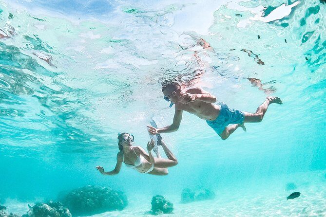 PRIVATE Full Day Tour : Moorea Snorkeling & Sailing on a Catamaran named Taboo - Food and drinks on board: tropical fruits, snacks, and a quiet-beach picnic option