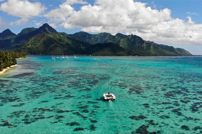 PRIVATE Full Day Tour : Moorea Snorkeling & Sailing on a Catamaran named Taboo - Snorkeling the lagoon: what you’re likely to see and why it matters