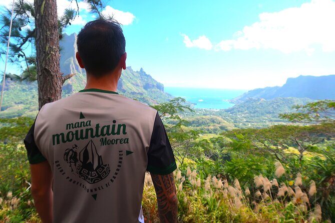 Private Half-Day Hike in the Opunohu Valley in Moorea - Opunohu Valley: what this hike feels like (and why it’s worth it)