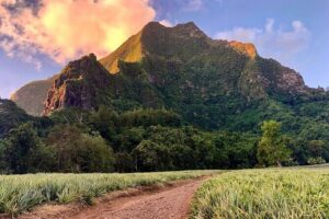 Private Half-Day Hike in the Opunohu Valley in Moorea - Meeting point at Criobe Moorea and the flow of a half-day
