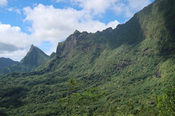 Private Half-Day Hike in the Opunohu Valley in Moorea - Up to the Col des 3 Cocotiers and the 3 Pinus viewpoint work
