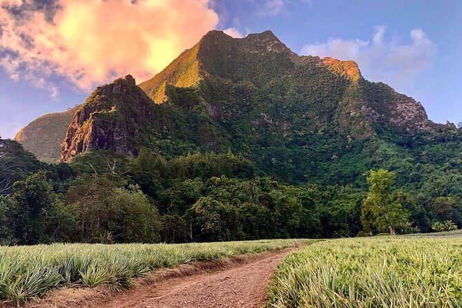 Private Half-Day Hike in the Opunohu Valley in Moorea - Meeting point at Criobe Moorea and the flow of a half-day