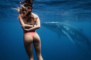 Private Half Day Whale Watching Tour - Getting Started at Coco Beach: The Half-Day Flow You Can Plan Around