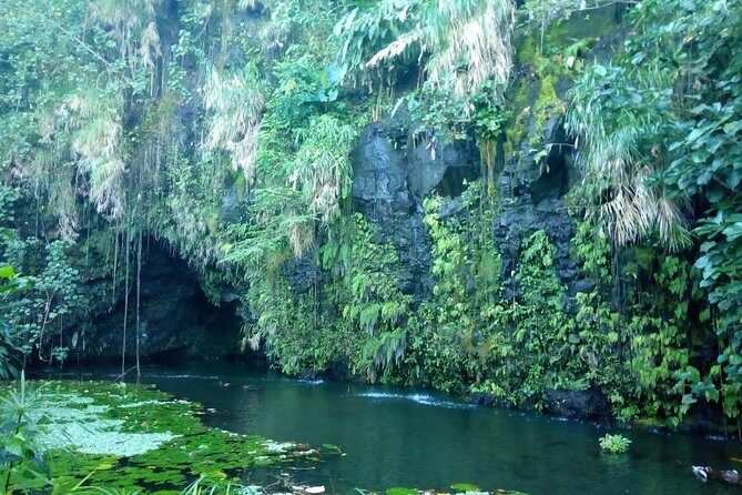 Private Island Tour ( 5 HOURS) - Stop 1: Arahurahu Marae and the quick cultural starter