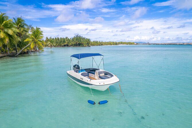 Private Jetboard Lessons with Instructor in Bora Bora - Jetsurf Board Options: Standing, Kneeling, or Stomach Riding