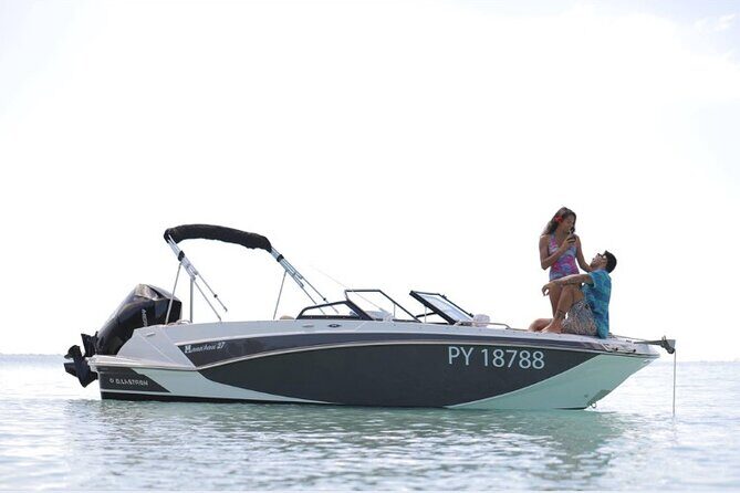Private lagoon tour (rays, sharks, turtles) by boat in Moorea - Whale watching from the boat: July to November matters