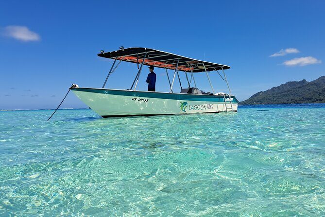 Private Marine Excursion and snorkeling in the lagoon of Moorea - Key highlights worth planning around