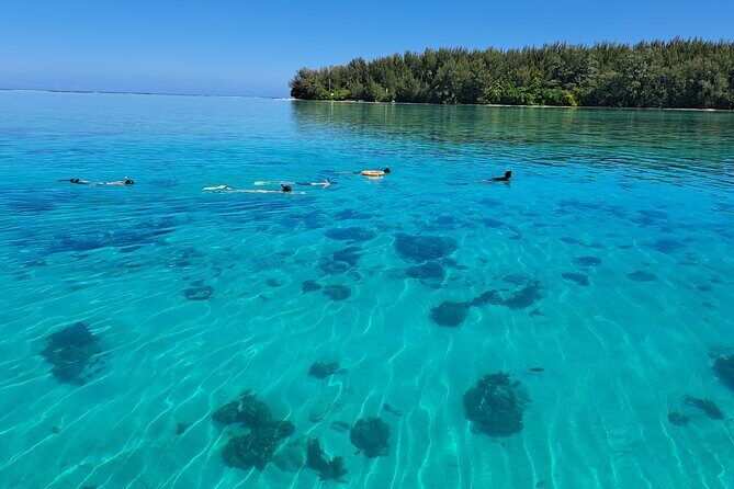 Private Marine Excursion and snorkeling in the lagoon of Moorea - How the half-day unfolds once you’re on the water