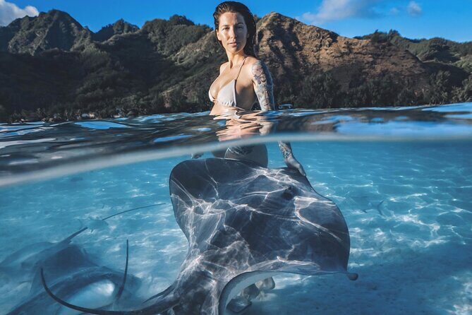Private Marine Wildlife Adventure with Underwater Photography - Key things to know before you go