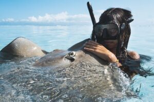 Private Marine Wildlife Adventure with Underwater Photography - The 3-hour flow: lagoon, pass, and outer reef snorkeling