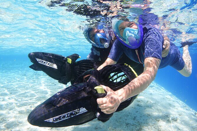 Private Marine Wildlife Adventure with Underwater Photography - Underwater photography: your best souvenir is planned in