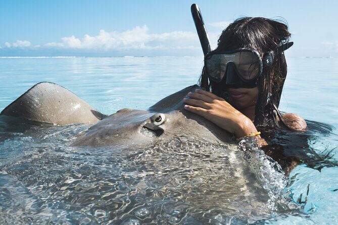 Private Marine Wildlife Adventure with Underwater Photography - The 3-hour flow: lagoon, pass, and outer reef snorkeling