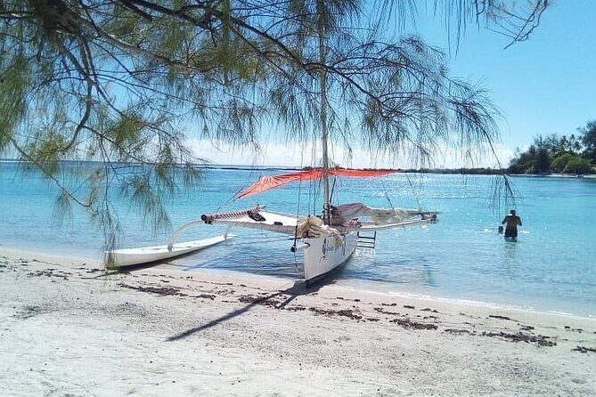 Private Moorea Discovery Half-day Sailing - Hotel Transfers and the Moorea Meeting Point You Should Actually Find