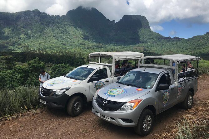 Private Morning Moorea 4WD Tour with Champagne - Belvedere Lookout and the Two-Bay Photo Setup