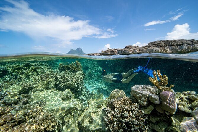 Private Reef Discovery Luxury Dream Day Tour in Bora Bora - Snorkeling the coral garden: what to focus on underwater
