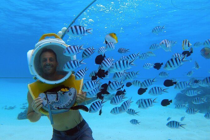Private Reef Discovery Luxury Dream Day Tour in Bora Bora - Private island + Polynesian meal: the break that prevents fatigue