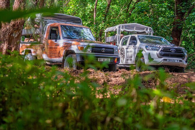 Private Safari Adventure Tour in Bora Bora with Local Guide - What’s Included: Drinks, Fresh Fruit, and a Small Comfort Win