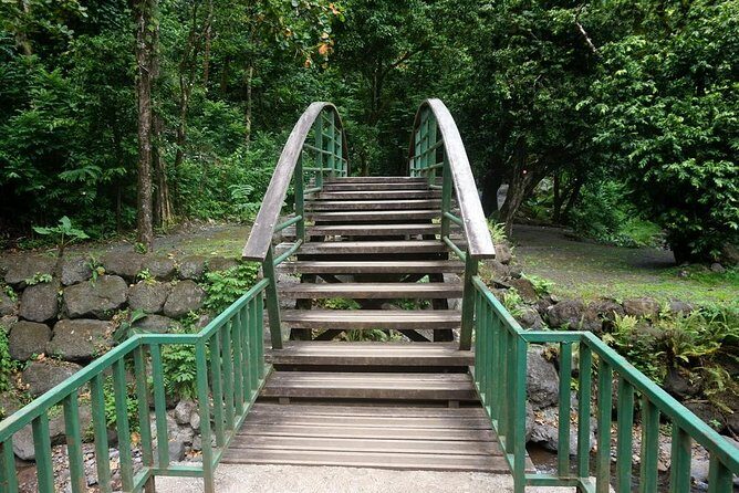 Private Tahiti Circle Island - Waterfalls, Black Sand & Views - Stop 3: Vaipahi Water Gardens with ponds, springs, and waterfall views