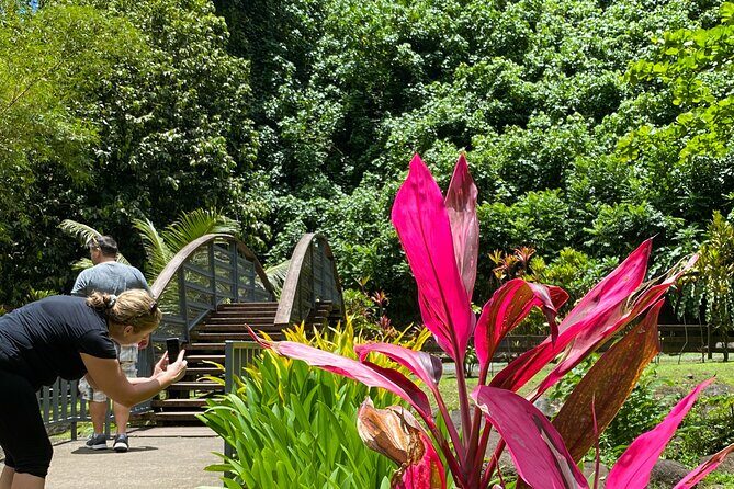 Private TAHITI Half Day Circle Island Tour (Departs 8am or 1pm) - Customizable stops in real life: how to tailor the half-day without stress