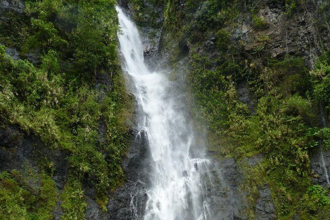 private Tahiti island discovery - Vaipahi Water Gardens: flowers, trees, and a small waterfall