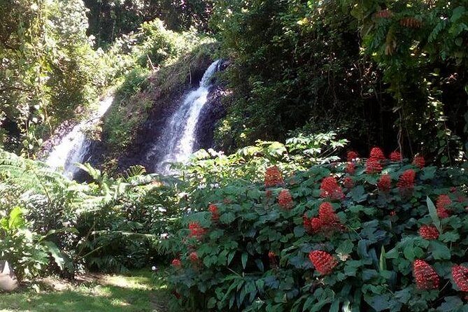 private Tahiti island discovery - Pickup, comfort, and what that means for your time