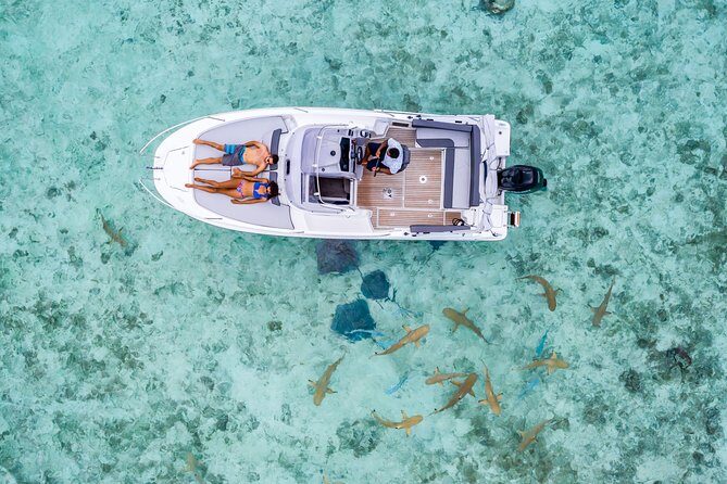 Private Tour: Bora Bora Lagoon Eco Snorkel Cruise - 3hrs or 6hrs - The Cap Camarat boat experience: short ride, big lagoon time