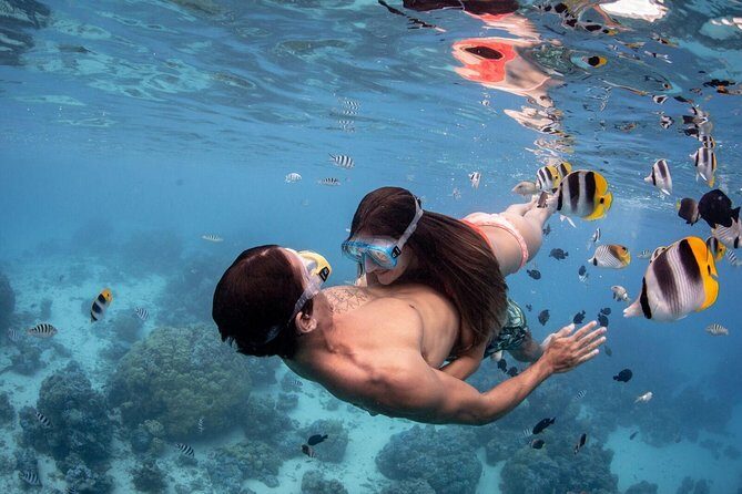Private Tour: Bora Bora Lagoon Eco Snorkel Cruise - 3hrs or 6hrs - Lunch on a secluded motu (only with the 6-hour option)