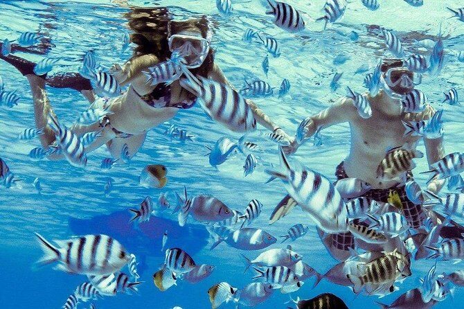 Private Tour: Bora Bora Lagoon Eco Snorkel Cruise - 3hrs or 6hrs - Snorkeling stops: three eco-tour areas and why that matters