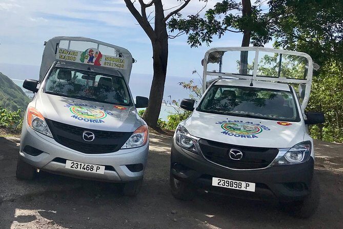 Private Tour Moorea 4WD - Belvedere Pineapple Farm, Magic Mount. - The Driver-Guide Factor: Why Ron (and Others) Matter