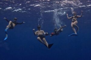 Private Whale Watching Adventure in Mo'orea - The safety rules that protect the whales and you